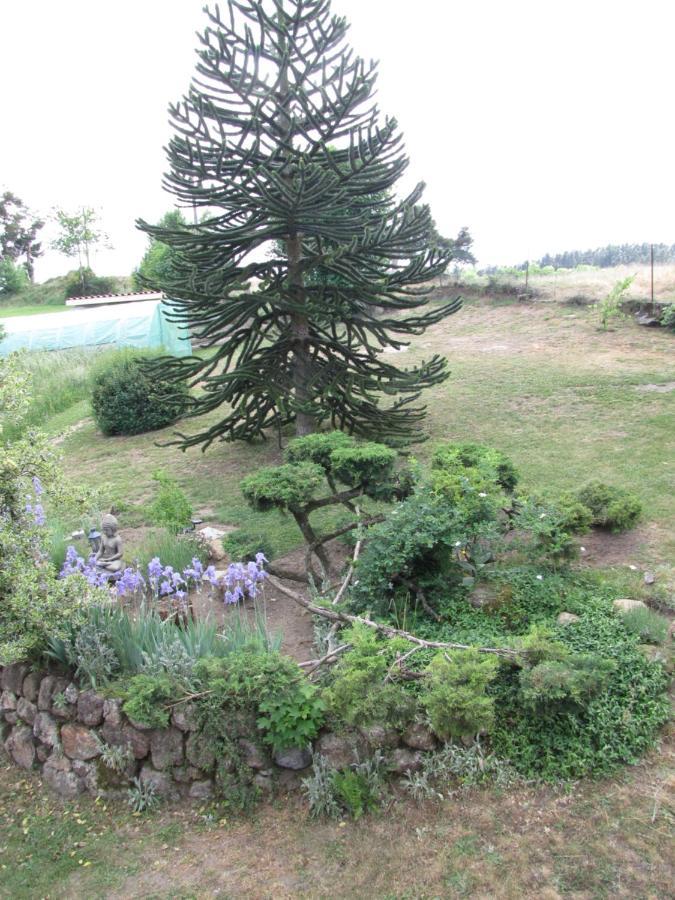 Chez Sophie Et Gilles Bed & Breakfast Monistrol-sur-Loire Bagian luar foto